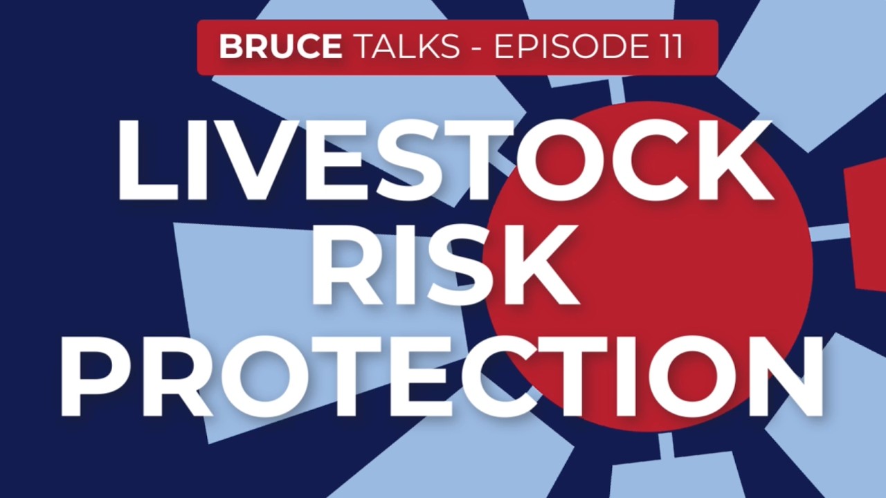 Understanding Livestock Risk Protection (LRP)