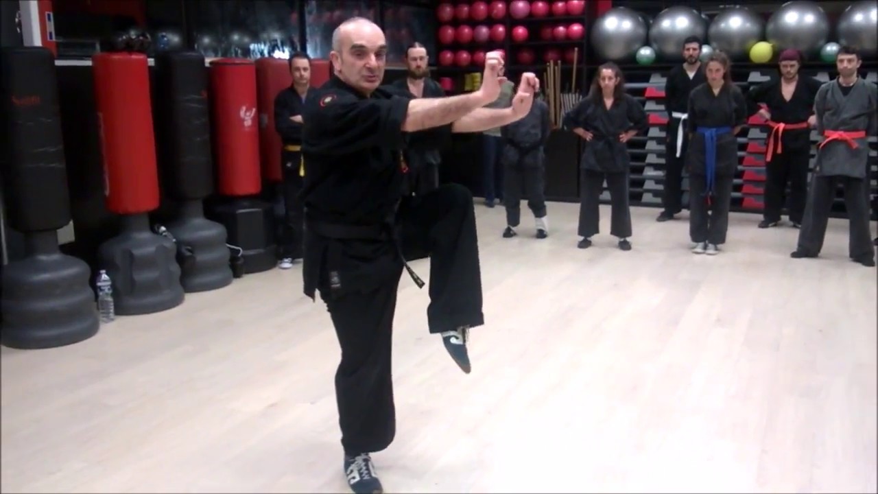 BAO QUAN (豹拳) - Lo stile del Leopardo - by M° Raffaele Benabei