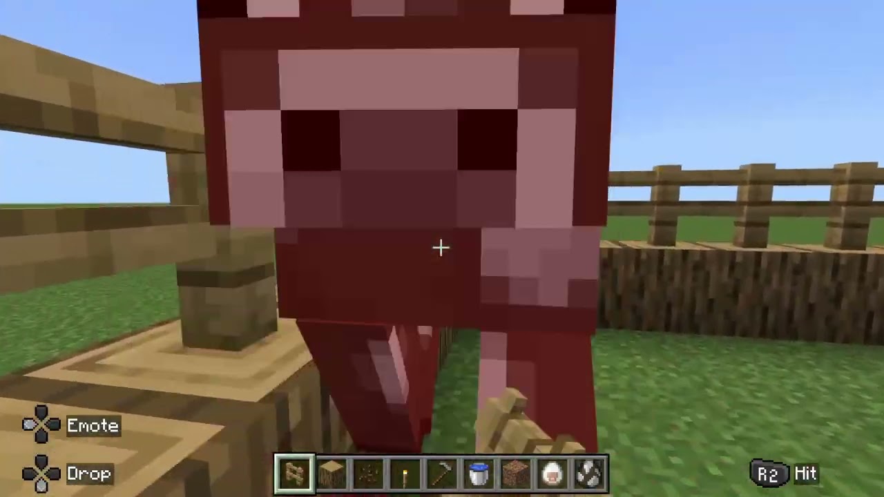 Minecraft creative a farm and a very strange animal pen