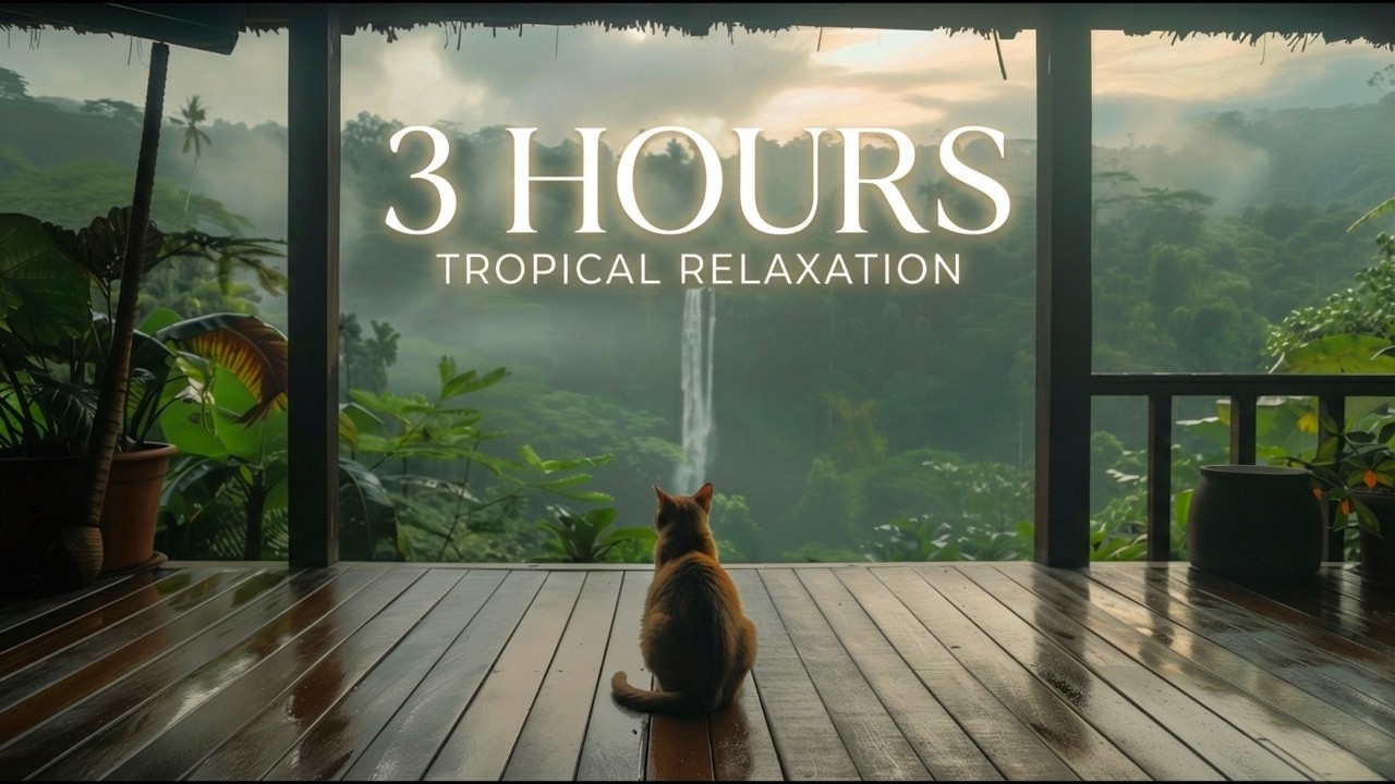 3 HOURS ASMR Tropical Rain & Waterfall Sounds for Deep Sleep & Study