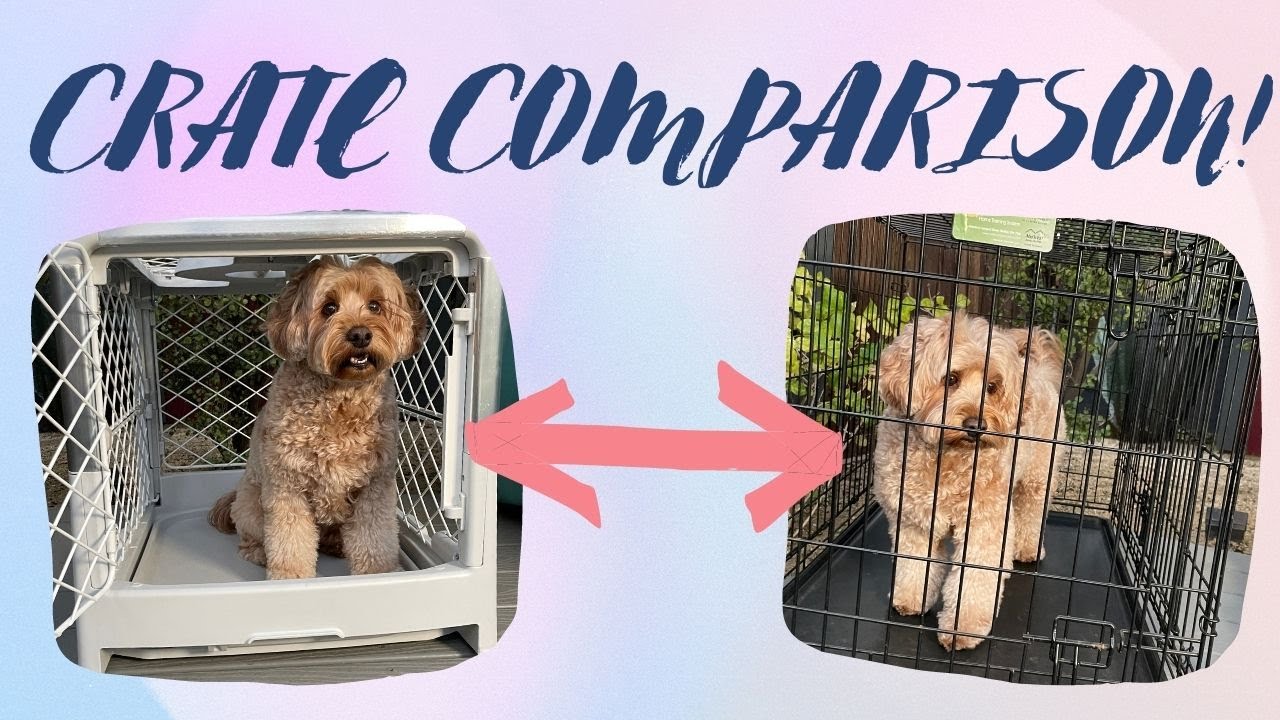 😳 DIGGS Revol dog crate comparison to the other door and wire crate +  DISCOUNT