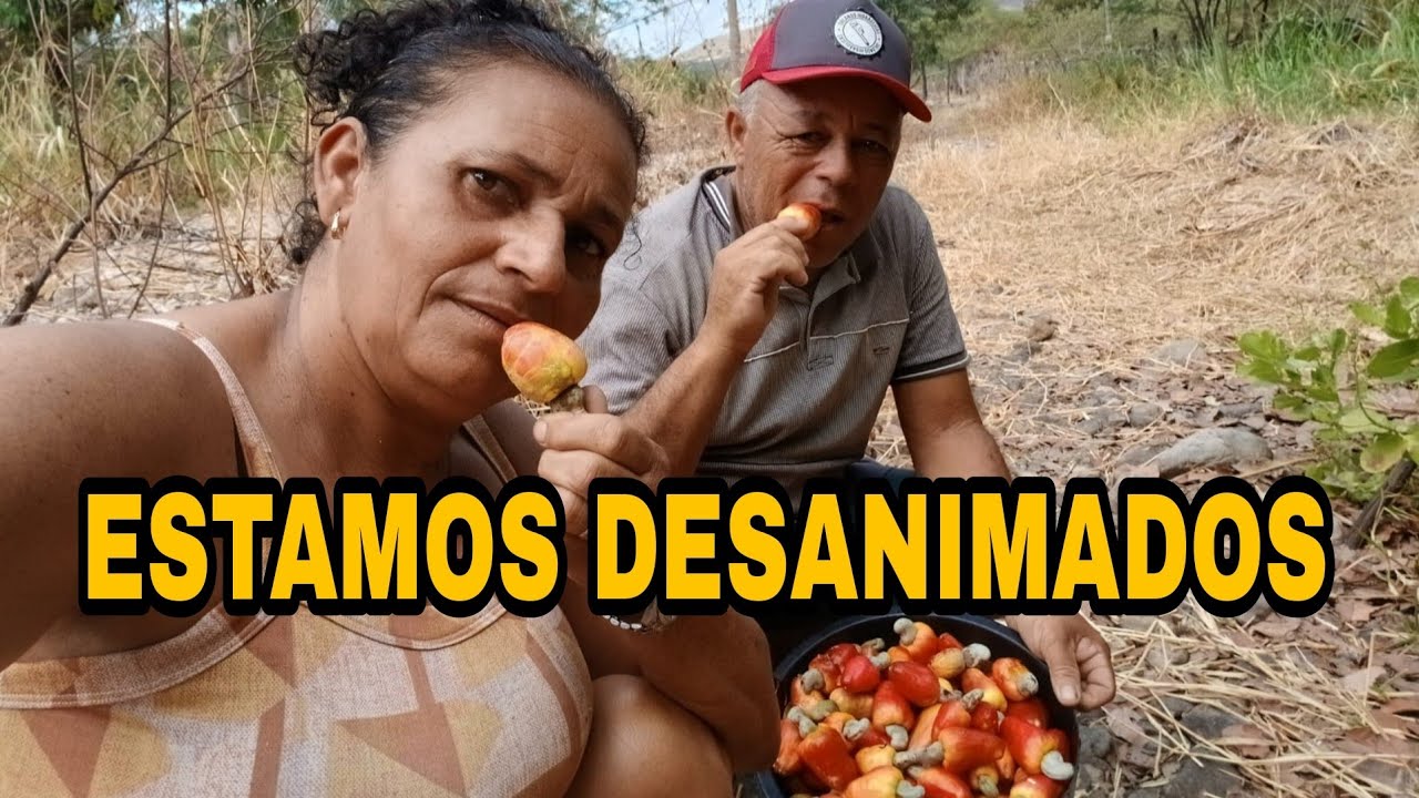 ESTAMOS DESANIMADOS!!!