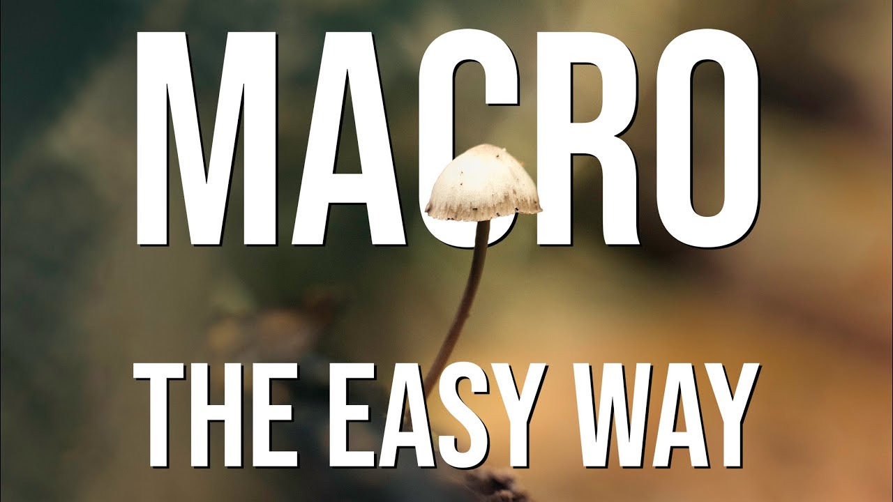 How EASY can macro photography be? (Simple hand-held tips and tricks!)