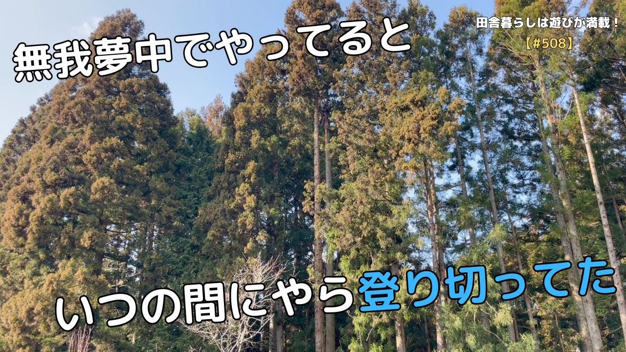 【#508】無我夢中でやってると　いつの間にやら登り切ってた
