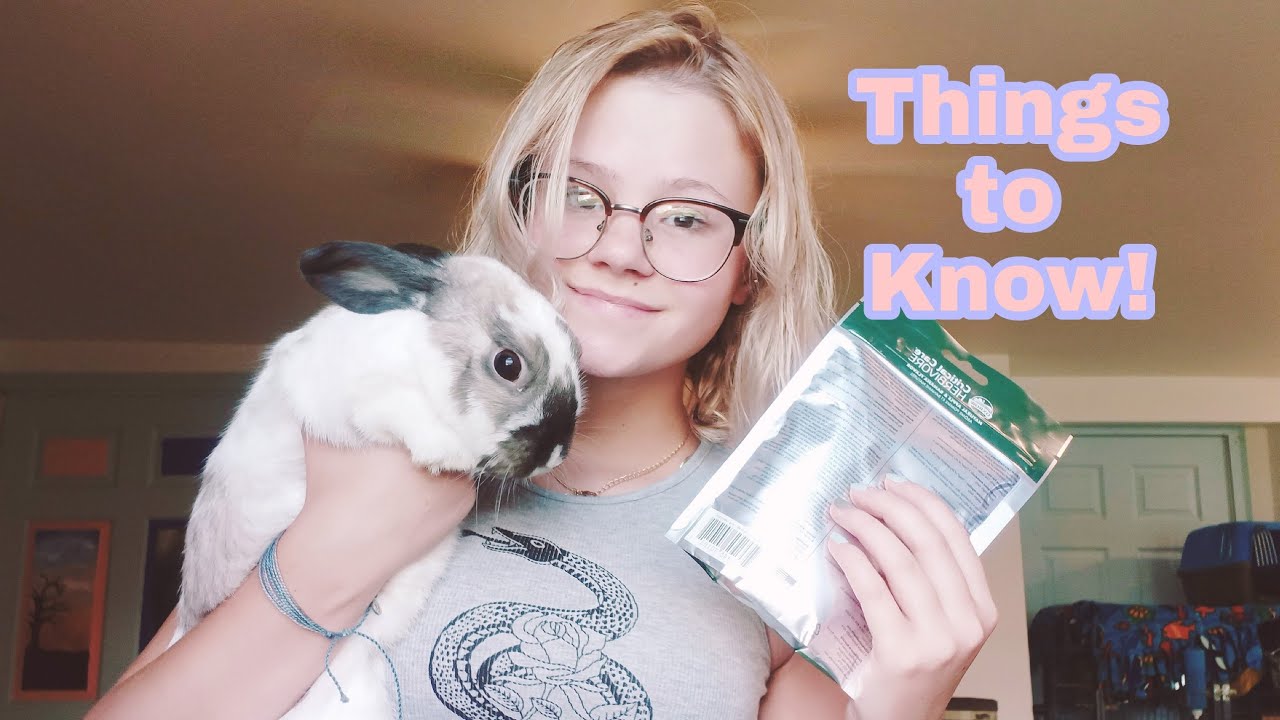 Things to Know Before Your Rabbit's Surgery! | PREPARATION, AFTER CARE, $$$ |