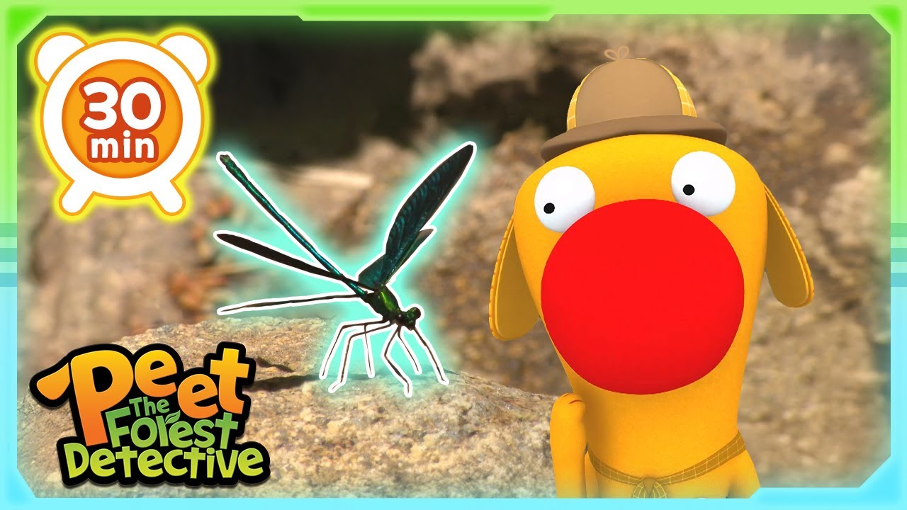 Dragonfly Rescue Tales 🌟🌿 | Animal Stories For Kids | Peet The Forest Detective