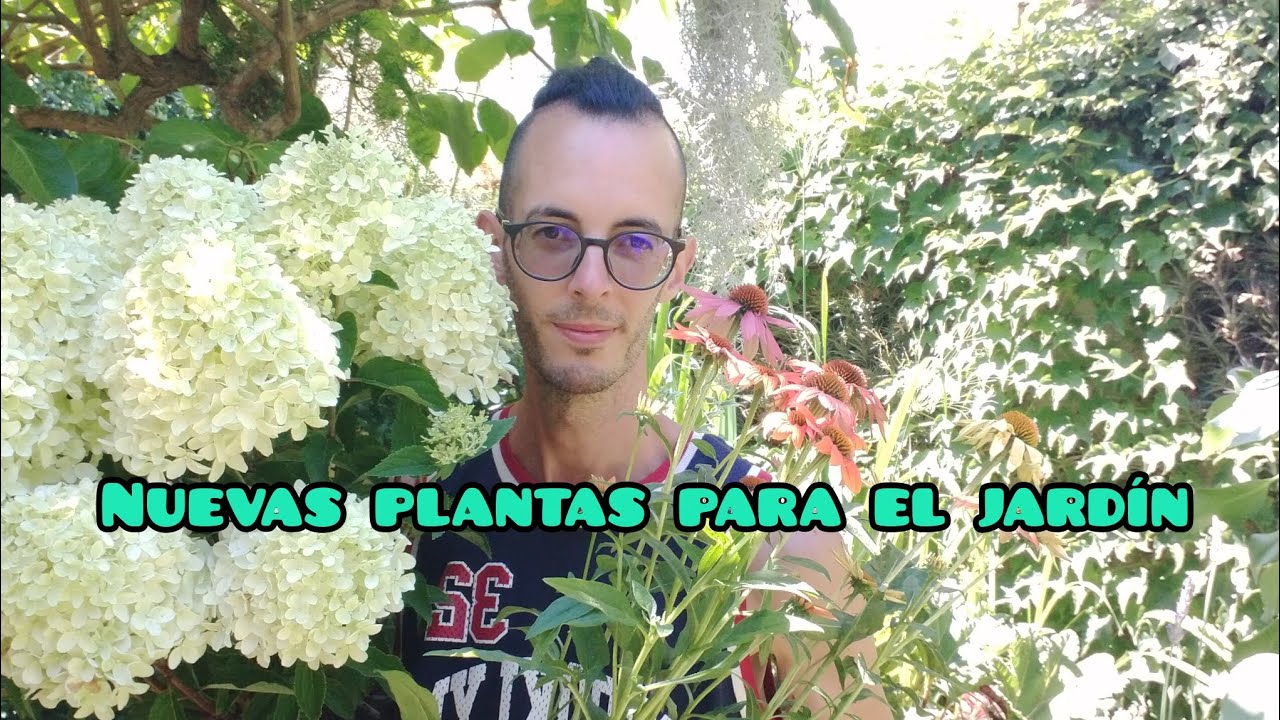 Logro aumentar mi selva amazónica sin morir en el intento