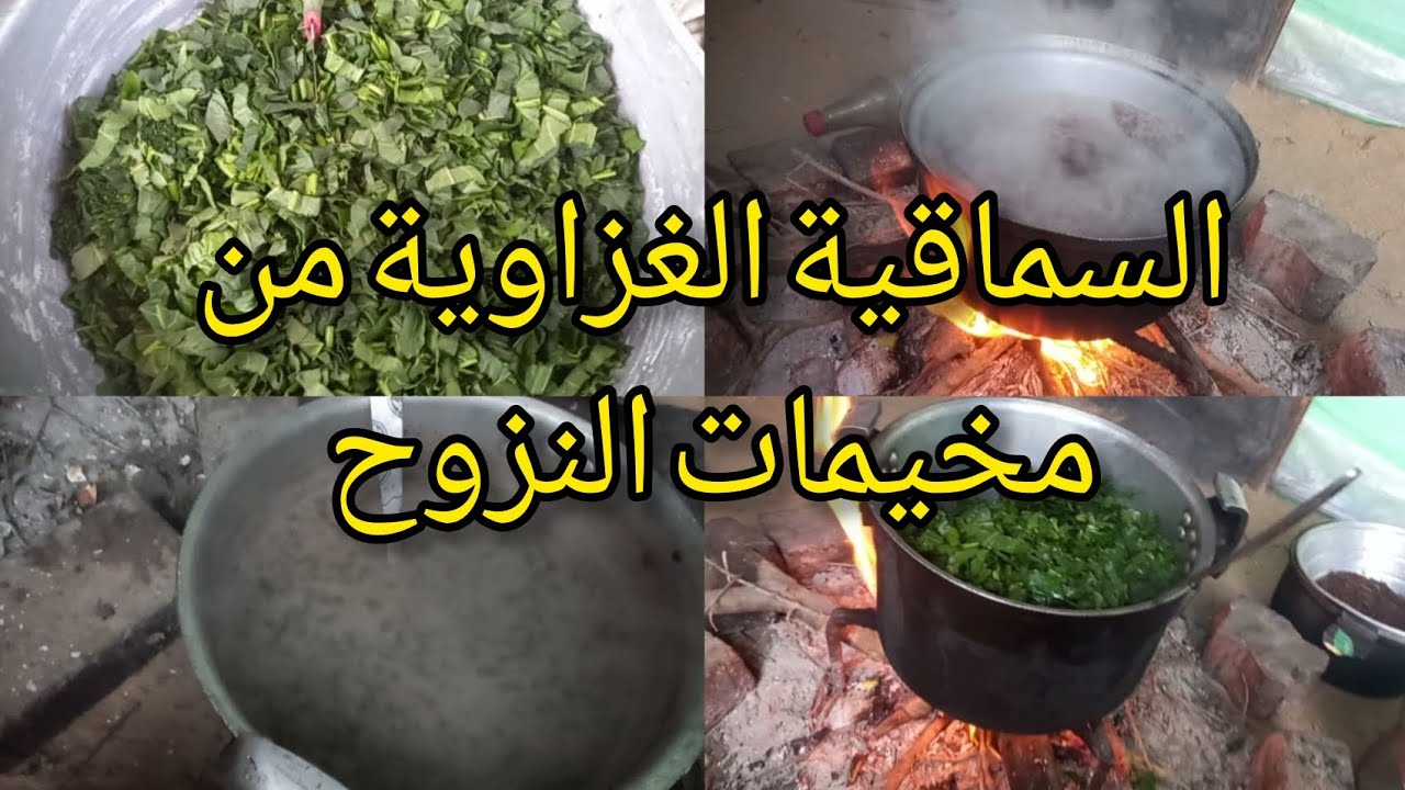السماقية الغزاوية من مخيمات النزوح 🌺🌺طعم زمان #غزة #السعودية #الجزائر