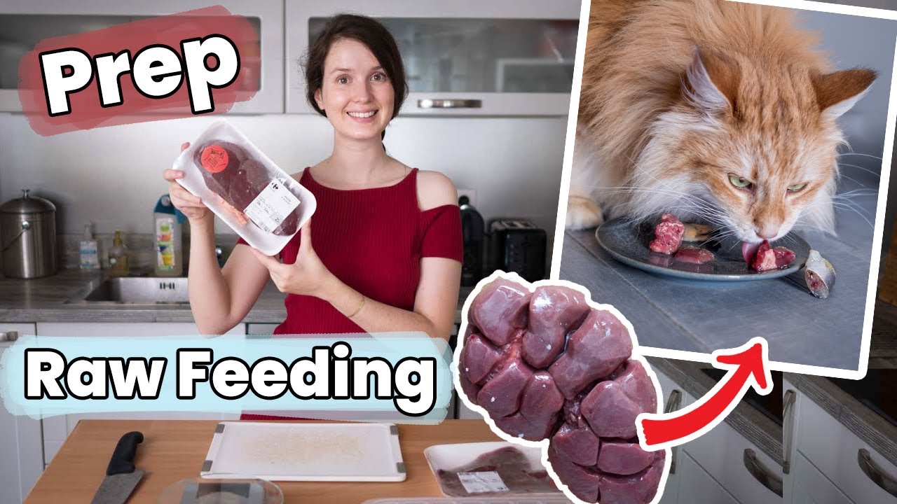 Comment je prépare les organes pour l’alimentation maison de mes chats | Raw Feeding | BARF