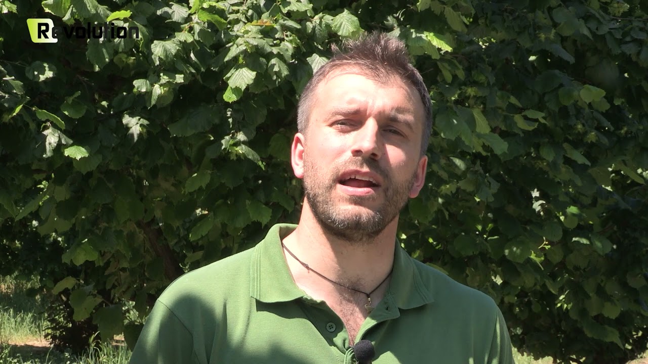 REVOLUTION - Nocciolo, spollonatura e controllo delle malerbe
