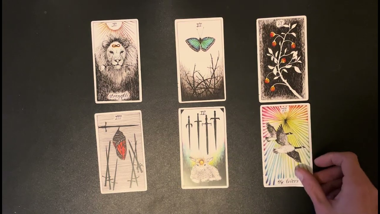 Moon in Virgo - a Tarot Card Reading #43 - 7 January 2026