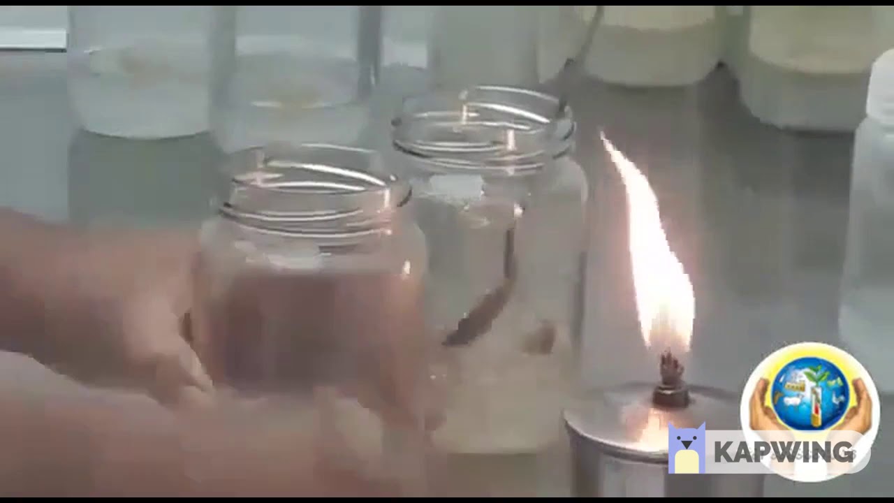 AM fungi Invitro Cultivation using carrot hairy roots