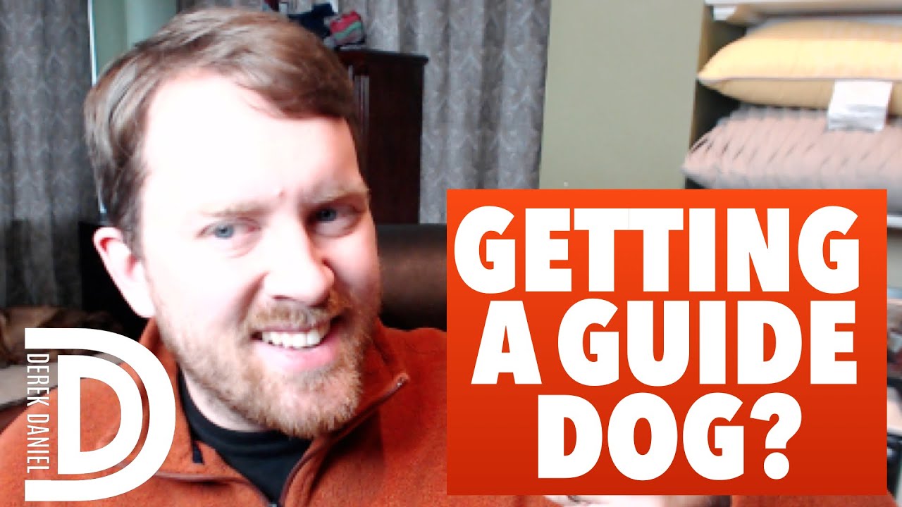5 Things To Consider BEFORE Getting A Guide Dog | Derek Daniel