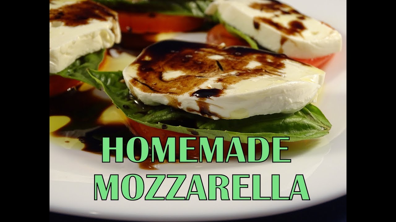 How to make mozzarella cheese at home -with yoyomax12
