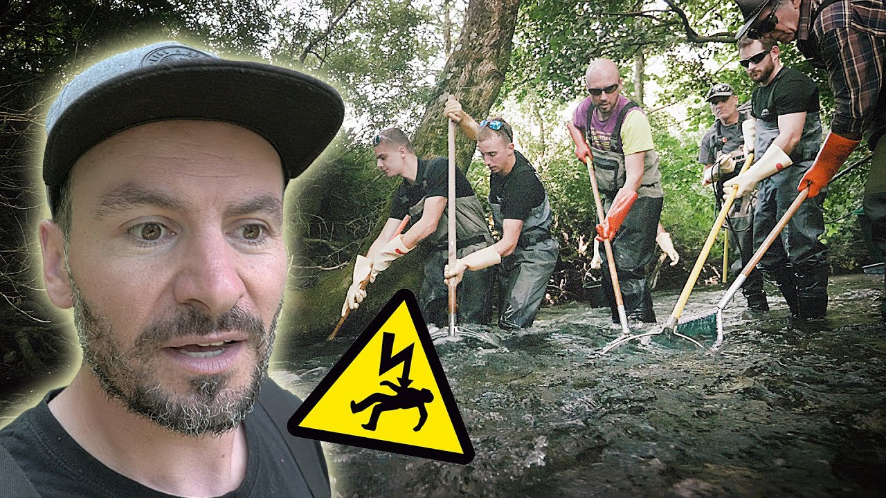 Electric Fishing in a Tiny River ! (Nobody expected this ...)