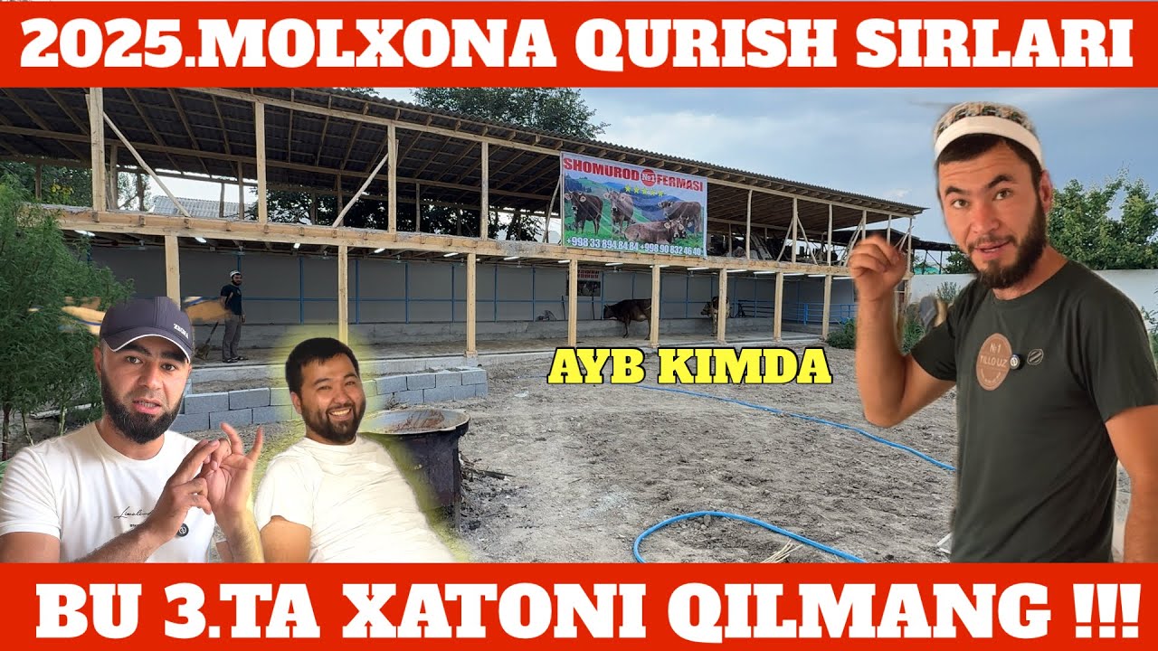 MOLXONA QURISH SIRLARI 2025 SHOMUROD AKA FERMASI BITTI QANCHA PUL KETTI AYB KIMDA???