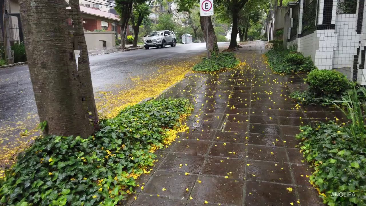 Walking in the rain 🇧🇷 PORTO ALEGRE • Bela Vista [4K] Caminhando Brasil
