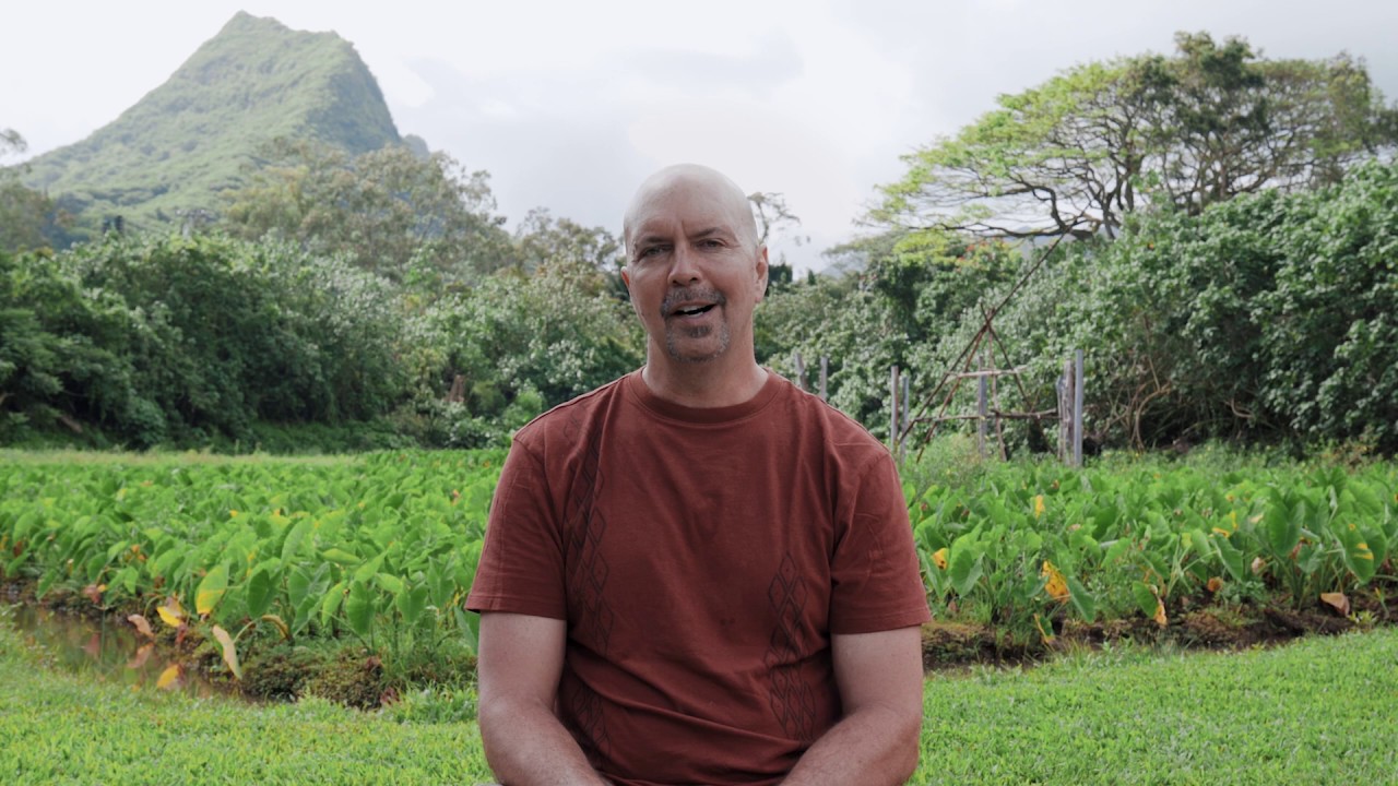 Hawaiian Values-Based Lessons - Q1 Theme: Nani Ke Kalo - Respect