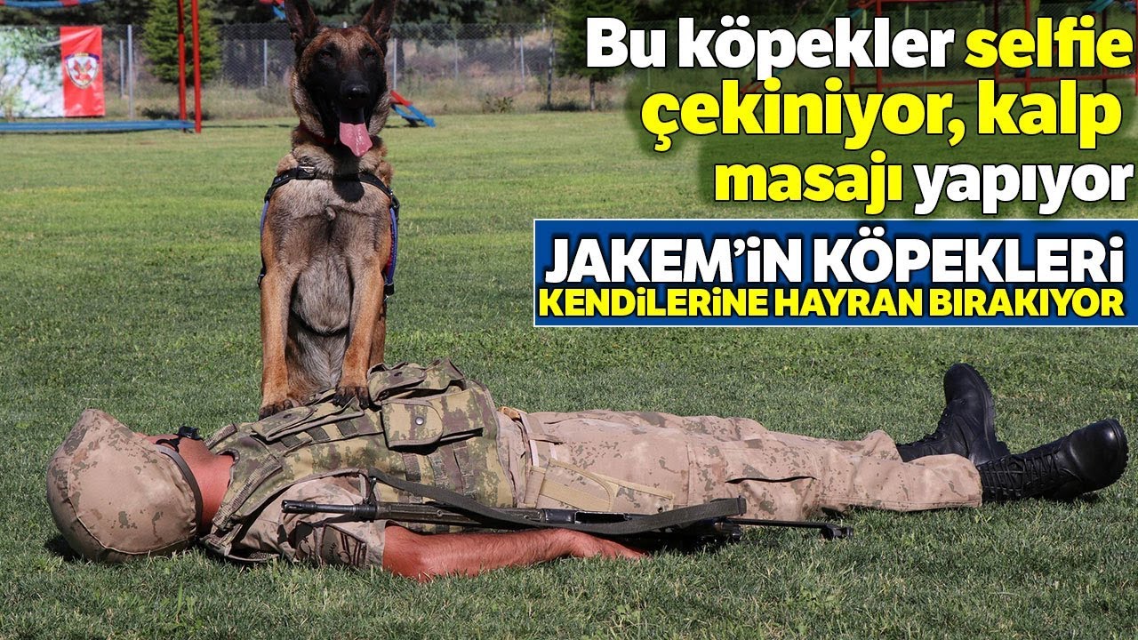 JAKEM’in Köpekleri Şınav Çekiyor, Komando Dansı Yapıyor