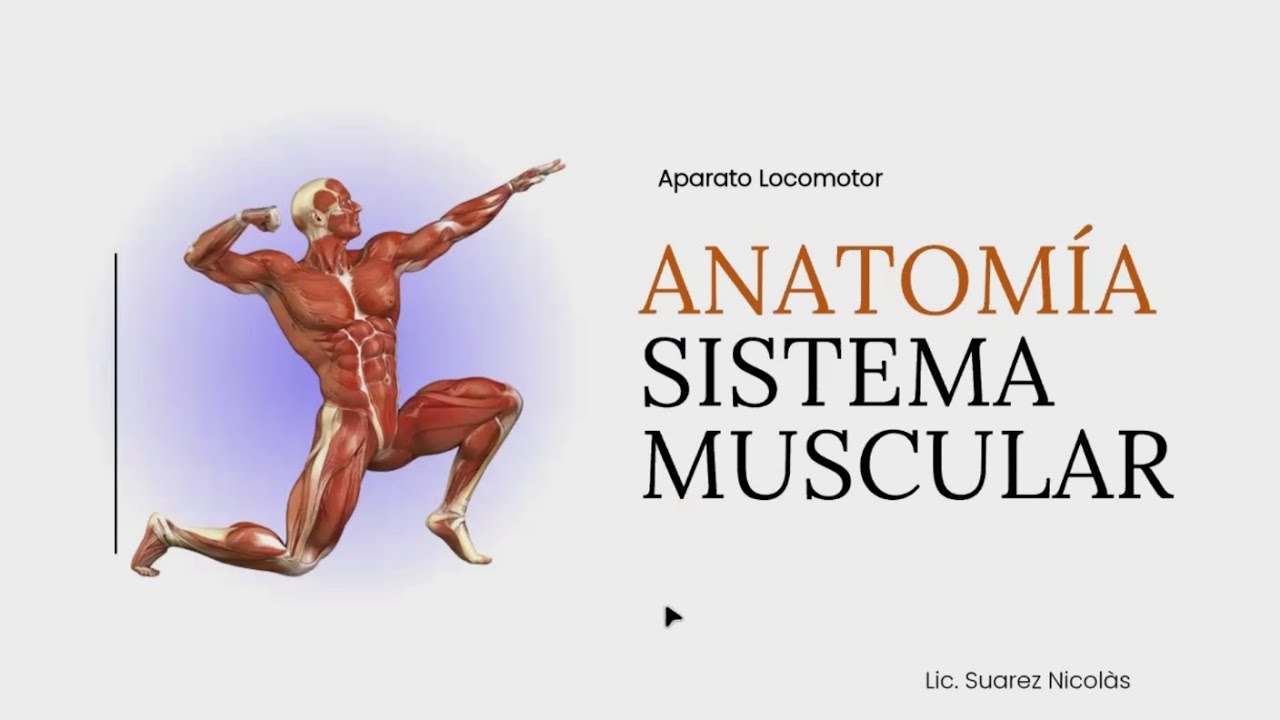 Anatomia Generalidades - Sistema Muscular