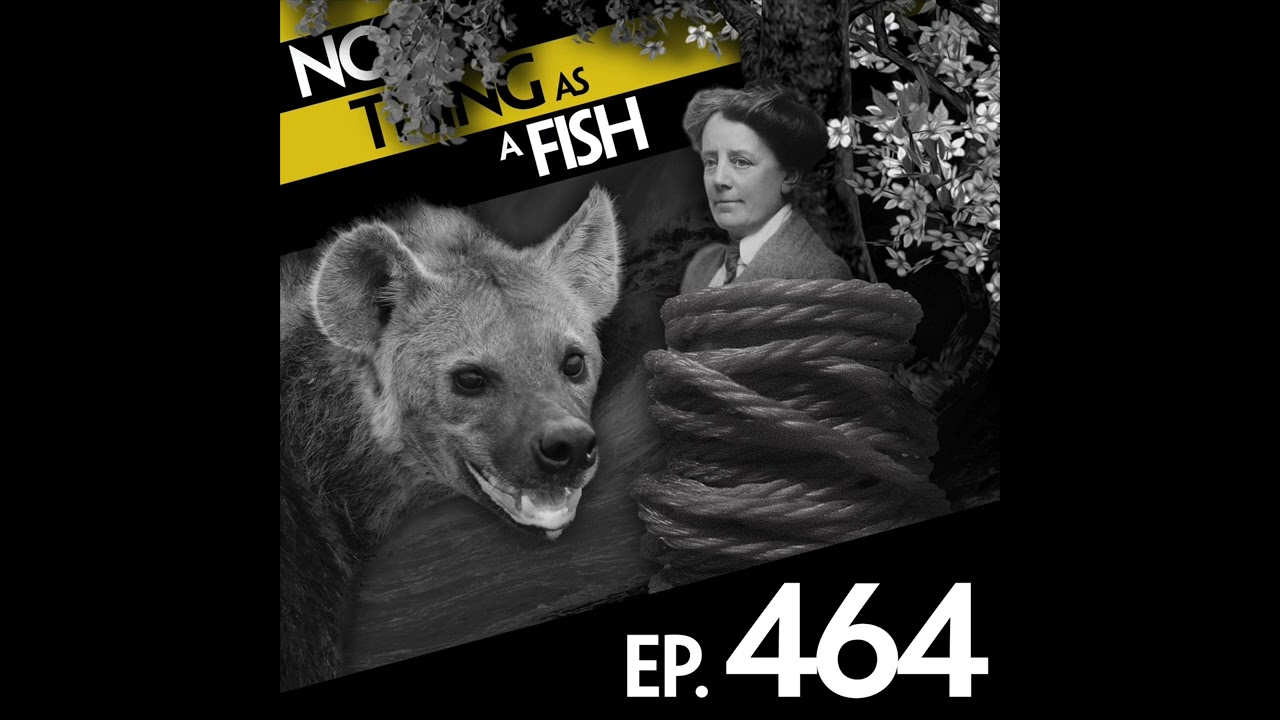 Ep 464: No Such Thing As An Average Bucket