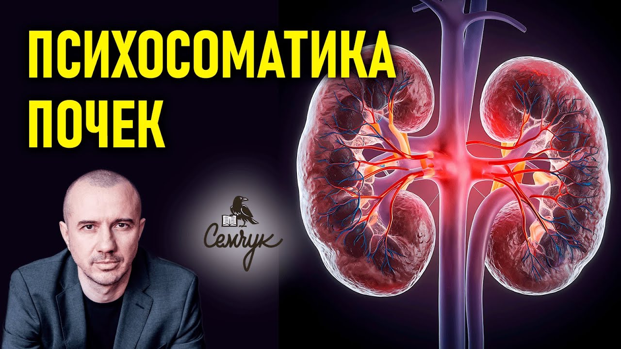 Как почки связаны с неумением говорить правду. А у вас часто они болеют? Феноменальная психосоматика