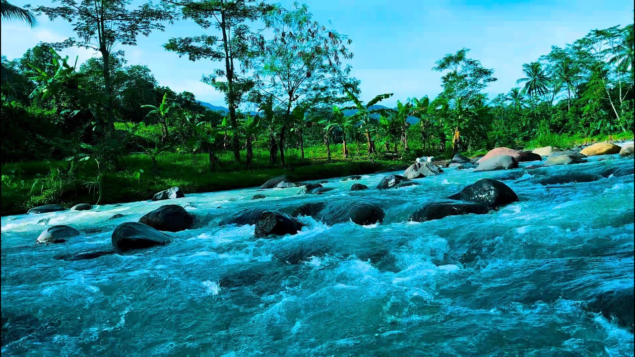 Mountain River Waterfall Flowing 24/7. Water Sounds, Nature White Noise. River Sounds for Sleeping#1