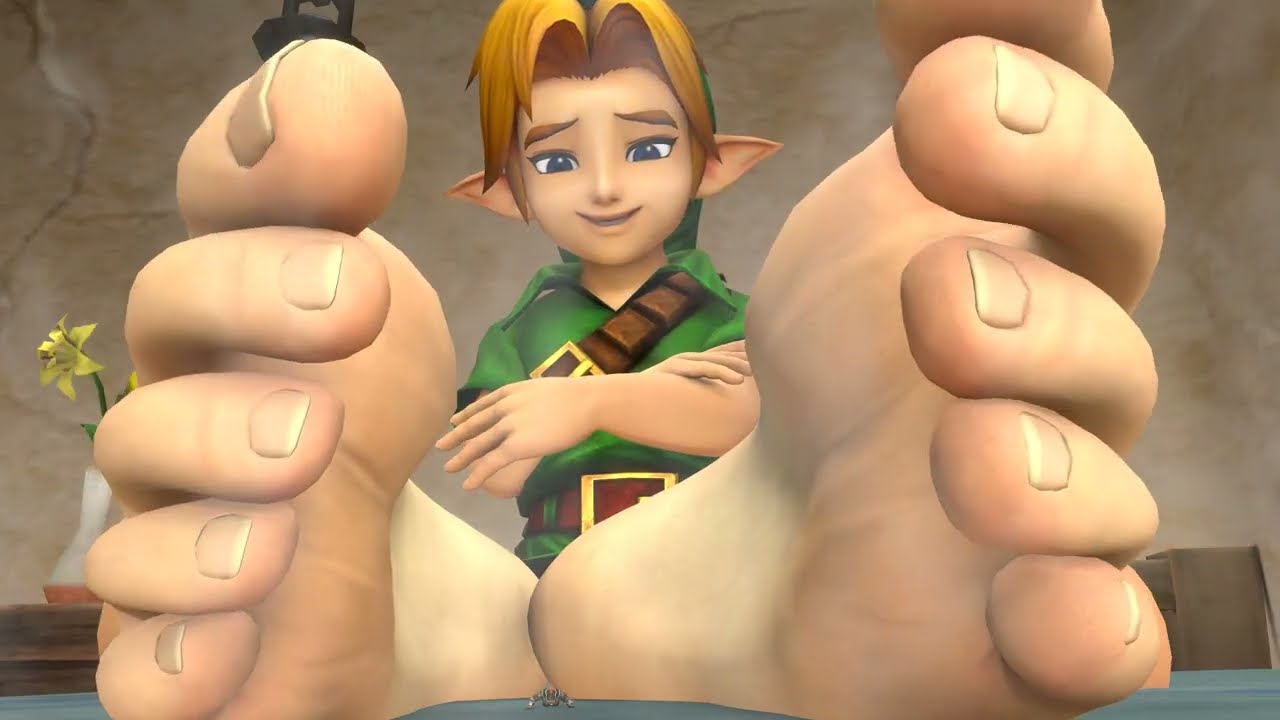 Link's Plaything