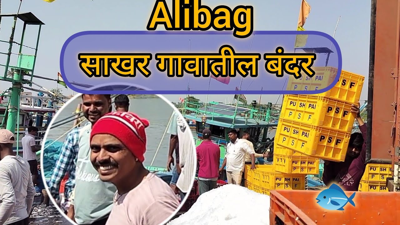 साखर कोलीवाडा जेट्टी | अलिबाग 