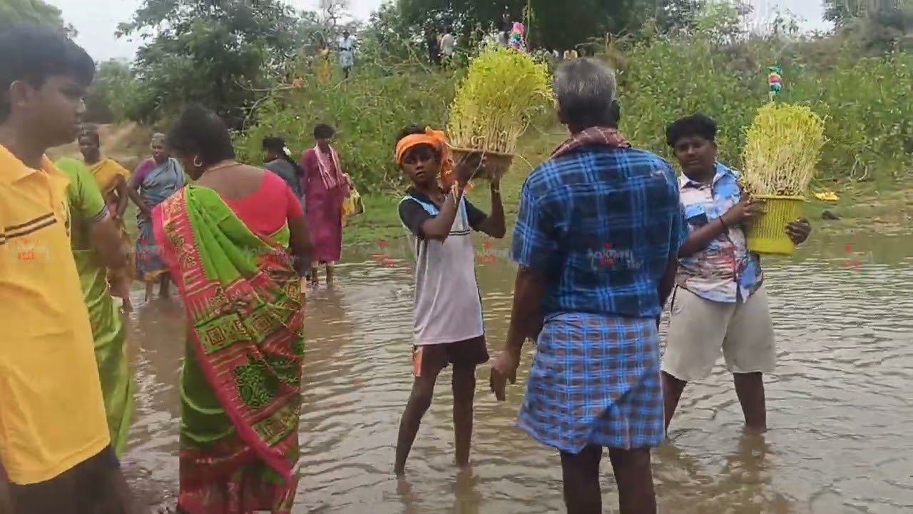 முளைப்பாரி கரைத்தல் #2025