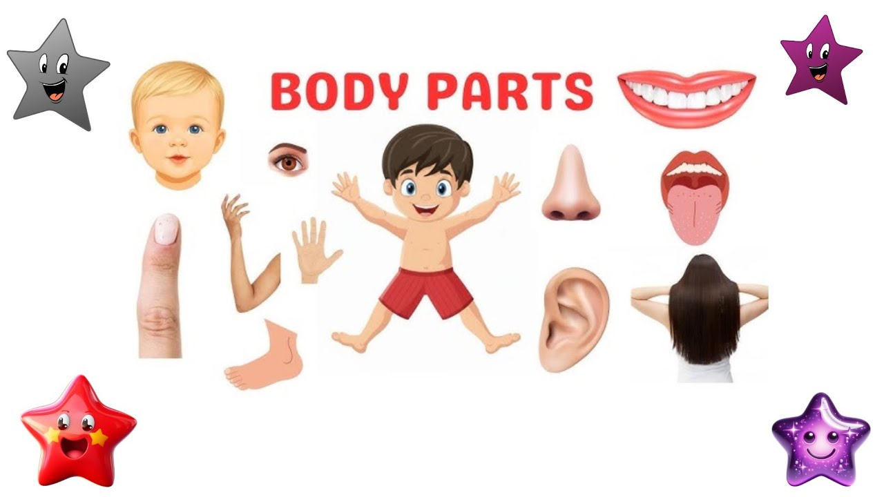 Learn Body Parts for Kids | Body parts name | शरीर के अंगो के नाम | Body parts quiz with KidsABC&123