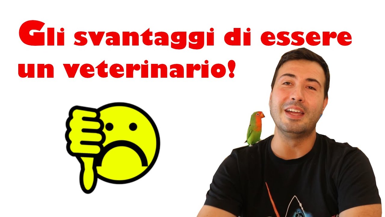Gli svantaggi di essere un veterinario!