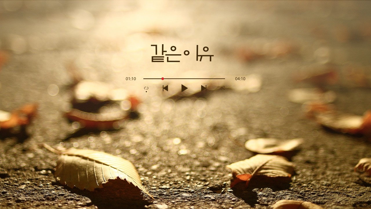 같은 이유 [사랑하고 헤어지고 다시 만나서 또 헤어지는]