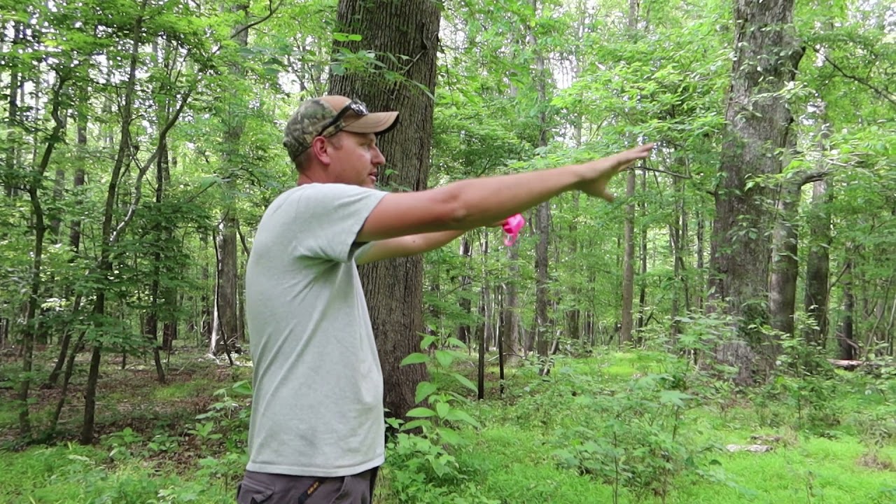 WALKAROUND TO PLAN CLEARING THE FUTURE HOMESITE