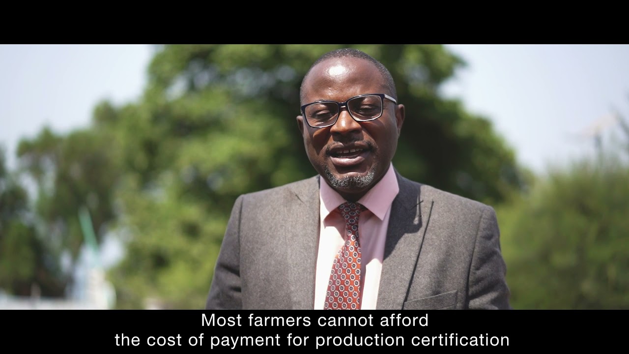 Mano River Cocoa  Sierra Leone promotional video through the Produce Monitoring Board