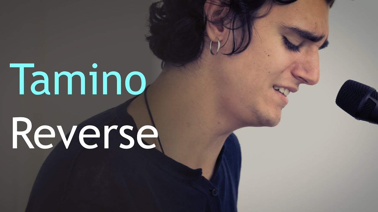 Tamino - Reverse