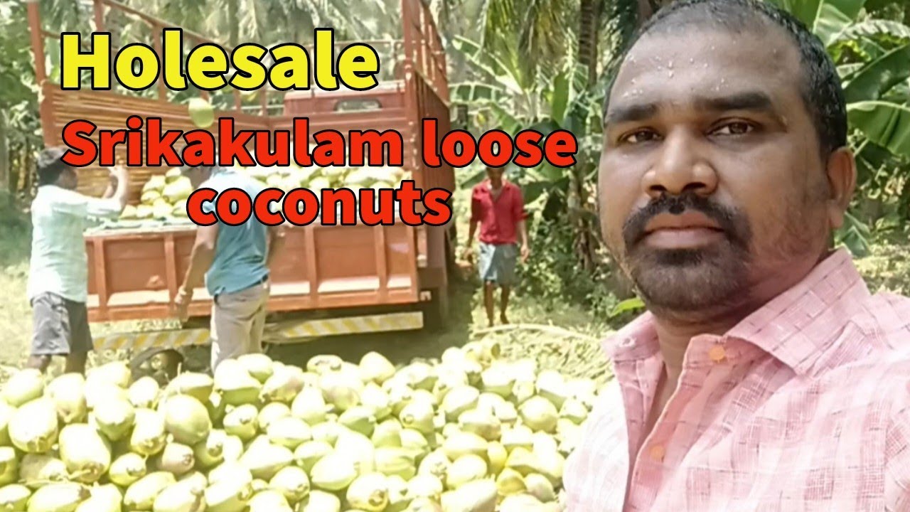 HOLESALE SRIKAKULAM LOOSE COCONUTS