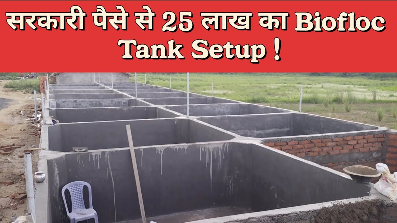 Biofloc Tank Project with 25 Lakh Government Grant : How to Make it Happen 😀