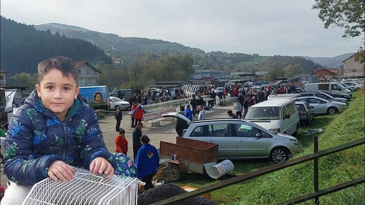 IZLOŽBA SITNIH ŽIVOTINJA U TURBETU -PAPAGAJ OD  500 MARAKA PRIVUKAO MNOGE POSJETIOCE