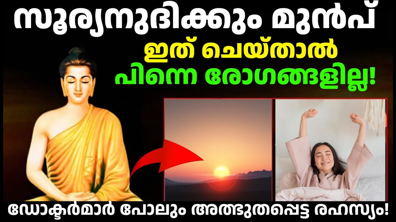 സൂര്യനുദിക്കും മുൻപ് ഇത് ചെയ്താൽ പിന്നെ രോഗങ്ങളില്ല! | Ayurvedic Health Secrets Malayalam