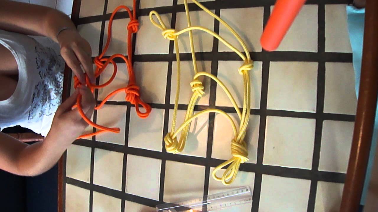 Fabriquer son propre licol éthologique