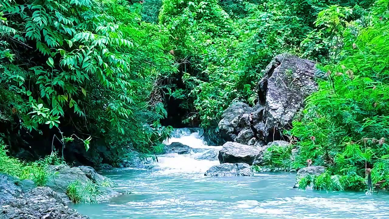 Nature Sounds of a Forest River for Relaxing-Natural meditation music of a Waterfall