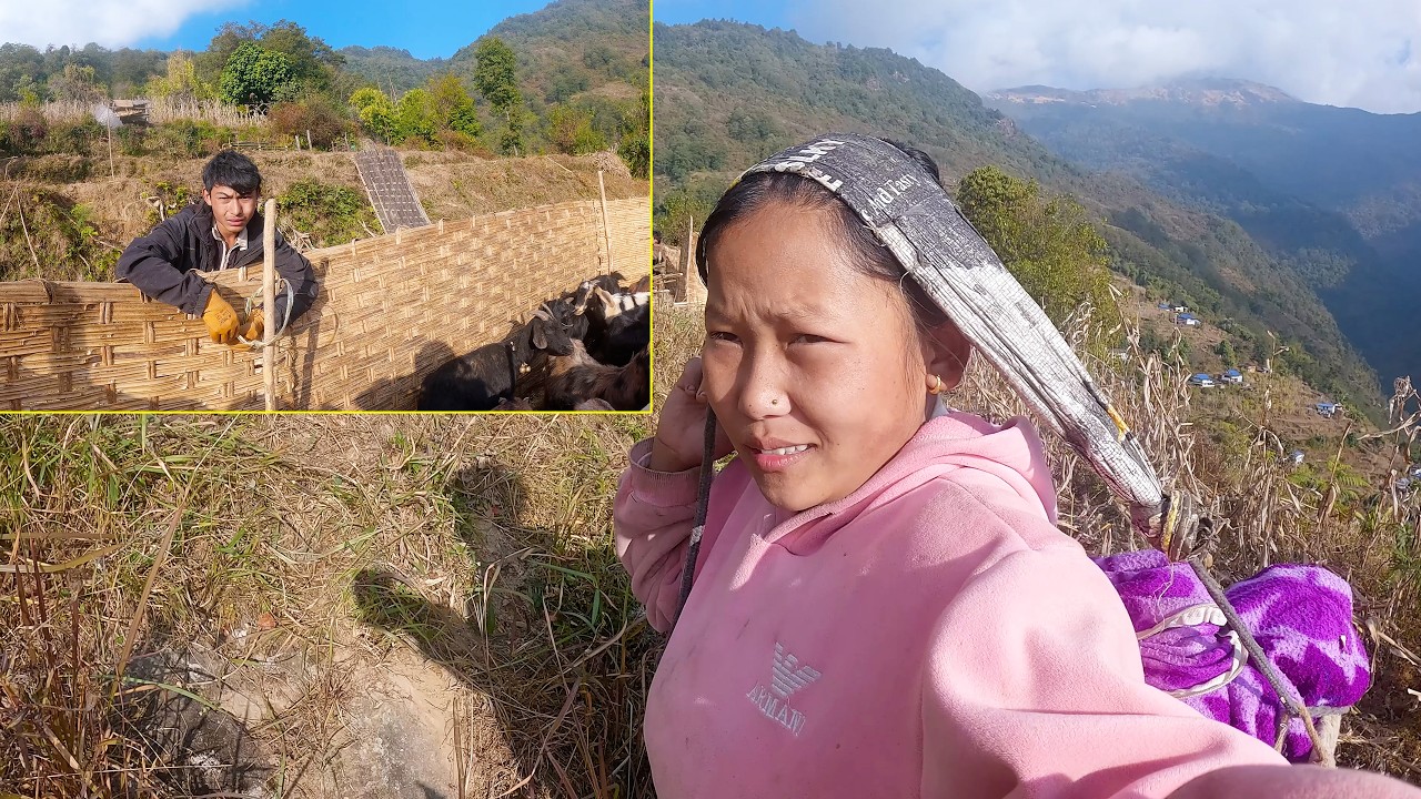 Adhiraj repairing goat habitant II Husband wife working together@pastorallifeofnepal