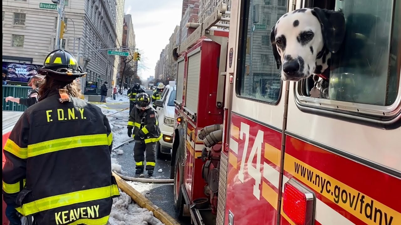 FDNY Manhattan 10-25 Box 1166 Smokey Transformer Vault 1 Line Operation with Dalmatian Fire Dog