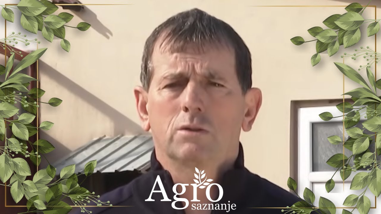 AGROSAZNANJE - Butorović iz Nikšića/najviše se traži surutka ali  i kozji sirevi