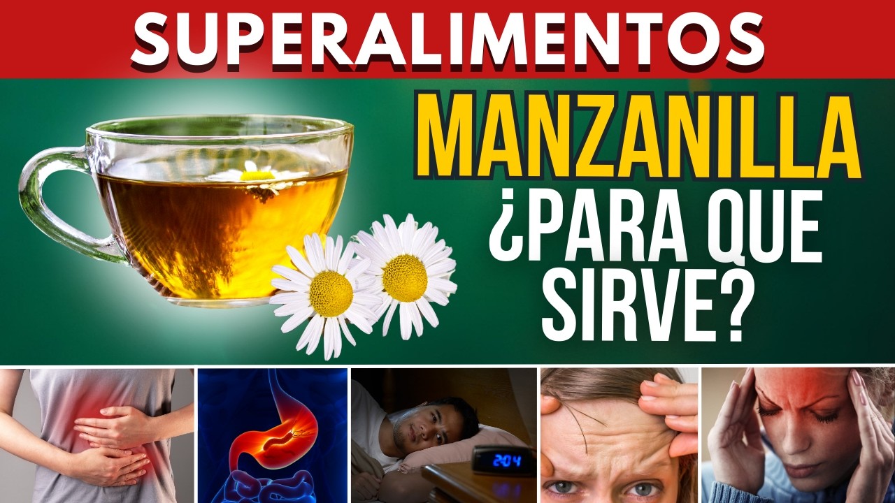 ¿Qué Pasa En Tu Cuerpo Cuando Consumes MANZANILLA?