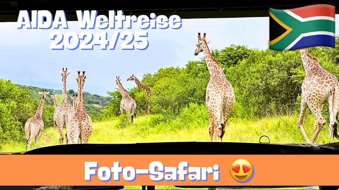 Durban Foto-Safari 🇿🇦🦒😍 | AIDAsol Weltreise 2024/25