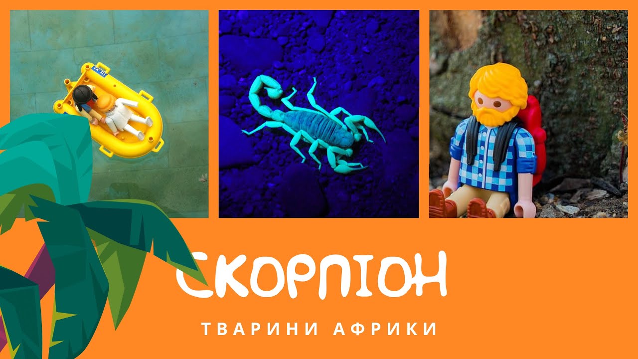 Скорпіон. Тварини Африки | КоМарко