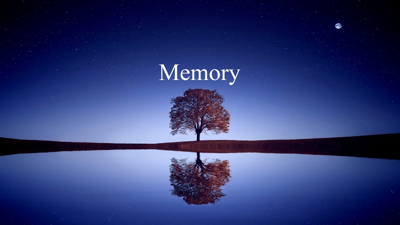 Beautiful Relaxing Music 