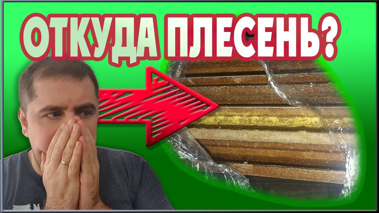 Плесень на ламинате. Испорченый ламинат. Разбор проблемы с ламинатом.